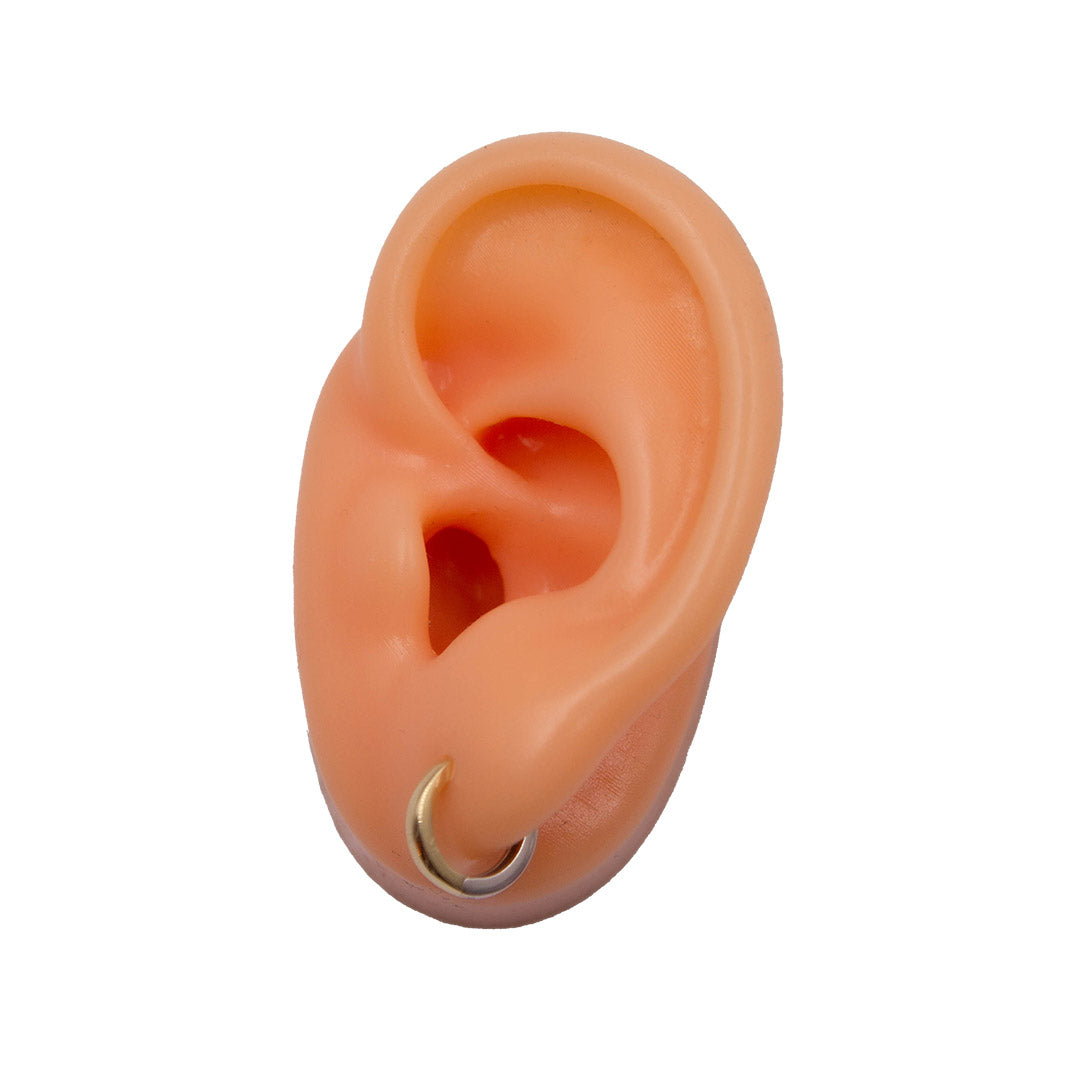 TWO-TONE EARRING