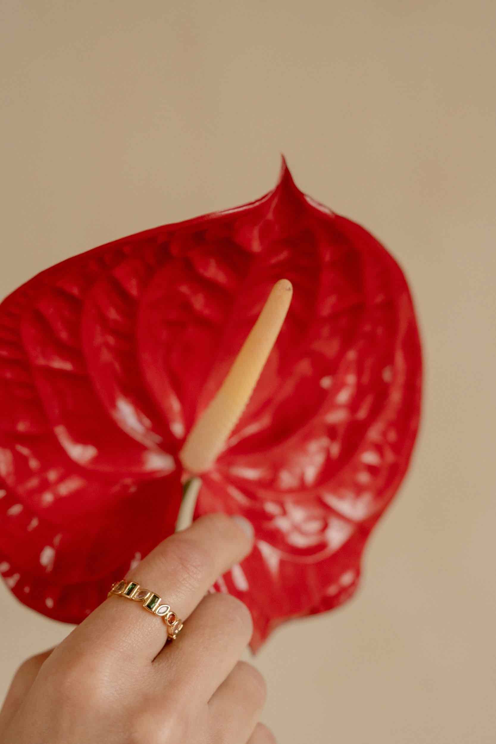 ANILLO ZIRCONIAS RAINBOW