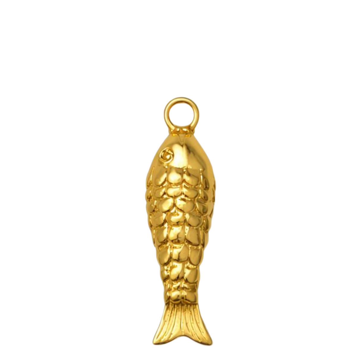 CHARM FISH – Tierra Rossa