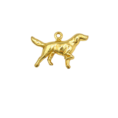 CHARM PERRO