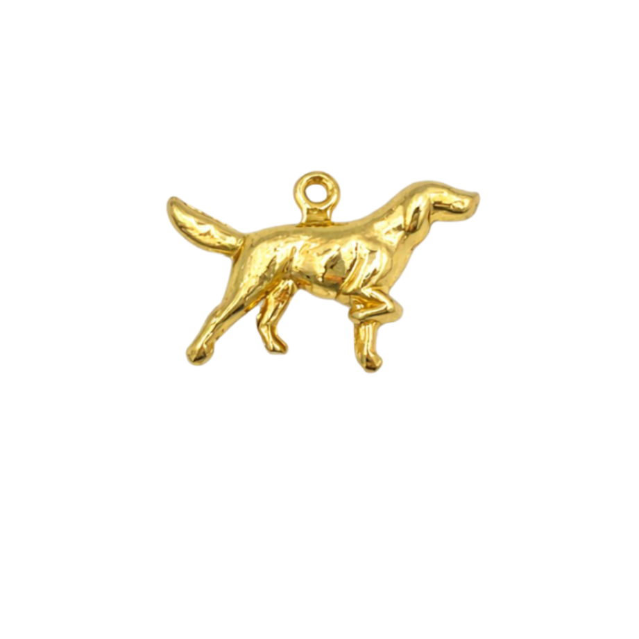 CHARM PERRO